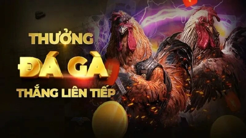 Top chương trình khuyến mãi DAGA88 nổi bật nhất