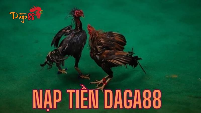 Giải đáp thắc mắc khi nạp tiền vào DAGA88